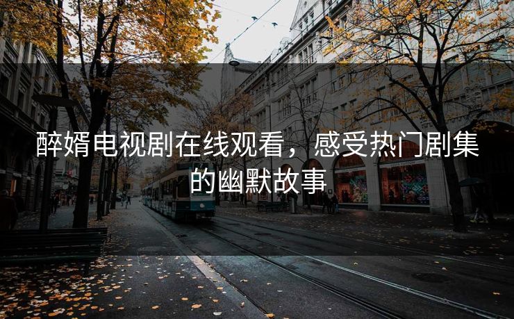 醉婿电视剧在线观看，感受热门剧集的幽默故事