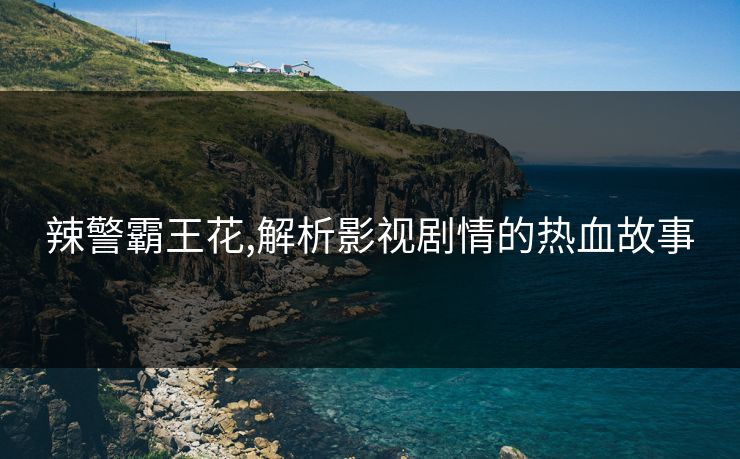 辣警霸王花,解析影视剧情的热血故事