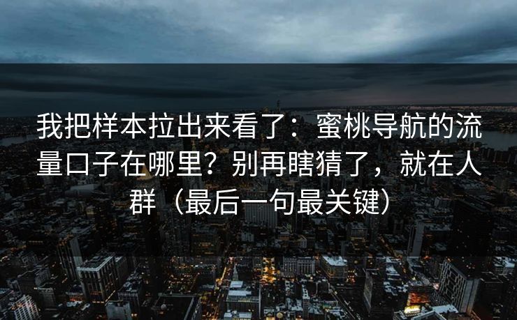 我把样本拉出来看了：蜜桃导航的流量口子在哪里？别再瞎猜了，就在人群（最后一句最关键）