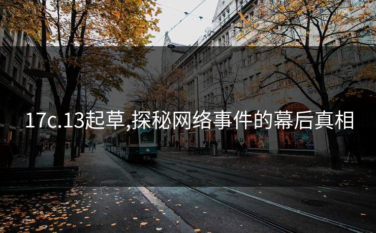 17c.13起草,探秘网络事件的幕后真相